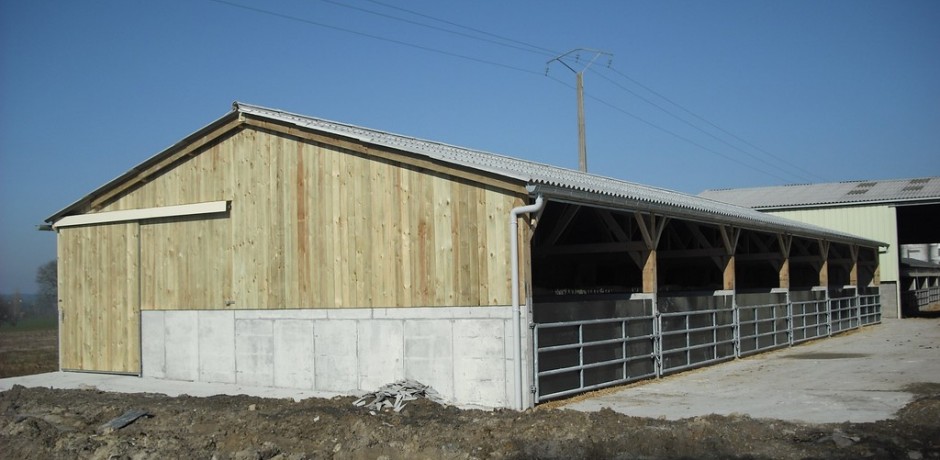 hangar en bois pour porcs sur aire paillee