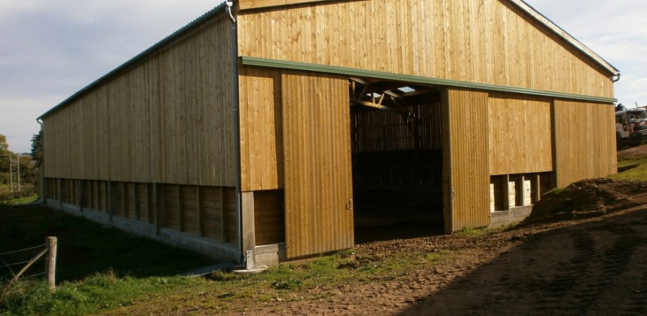 hangar agricole en bois pour bovins allaitantes avec mur bois